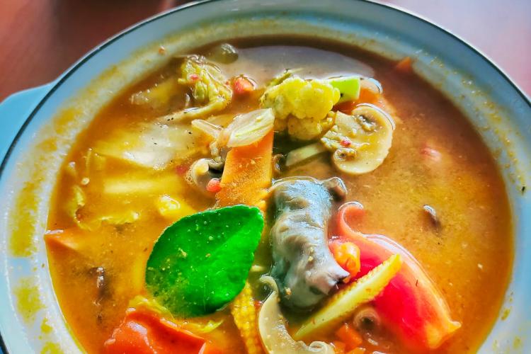 Sebuah Simfoni Kebangkitan Garuda